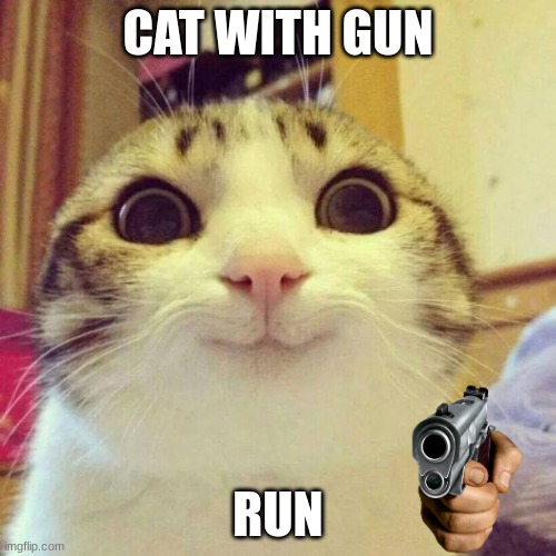 Smiling Cat Meme | CAT WITH GUN; RUN | image tagged in memes,smiling cat | made w/ Imgflip meme maker