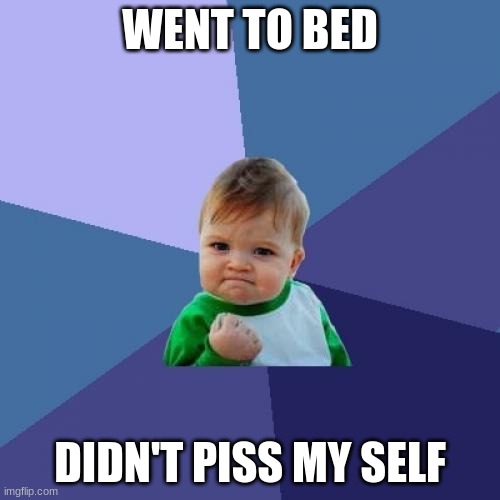 Success Kid Meme | WENT TO BED; DIDN'T PISS MY SELF | image tagged in memes,success kid | made w/ Imgflip meme maker