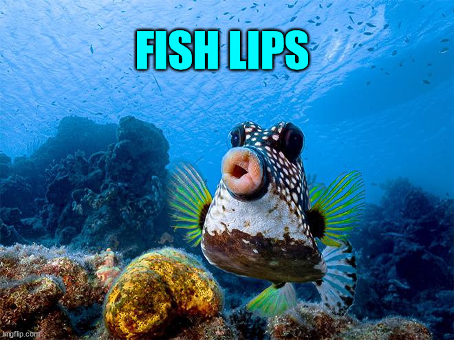 Fish Lips | FISH LIPS | image tagged in fish lips | made w/ Imgflip meme maker