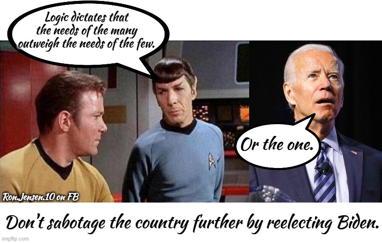 The Needs Of The Many | Logic dictates that the needs of the many outweigh the needs of the few. Or the one. Don't sabotage the country further by reelecting Biden. Ron.Jensen.10 on FB | image tagged in kirk and spock,joe biden,2024,biden,president trump | made w/ Imgflip meme maker