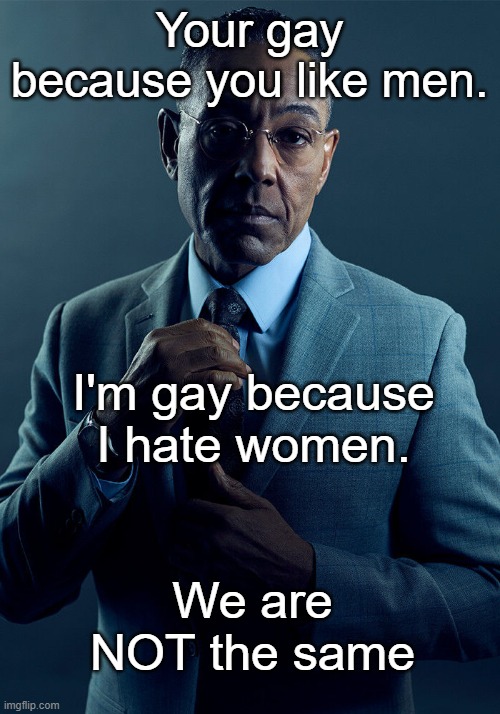. | Your gay because you like men. I'm gay because I hate women. We are NOT the same | image tagged in gus fring we are not the same | made w/ Imgflip meme maker