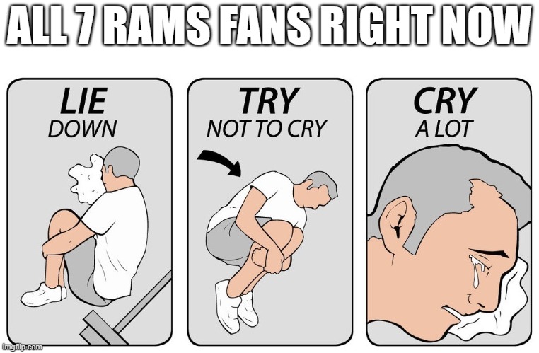 try not to cry | ALL 7 RAMS FANS RIGHT NOW | image tagged in try not to cry | made w/ Imgflip meme maker