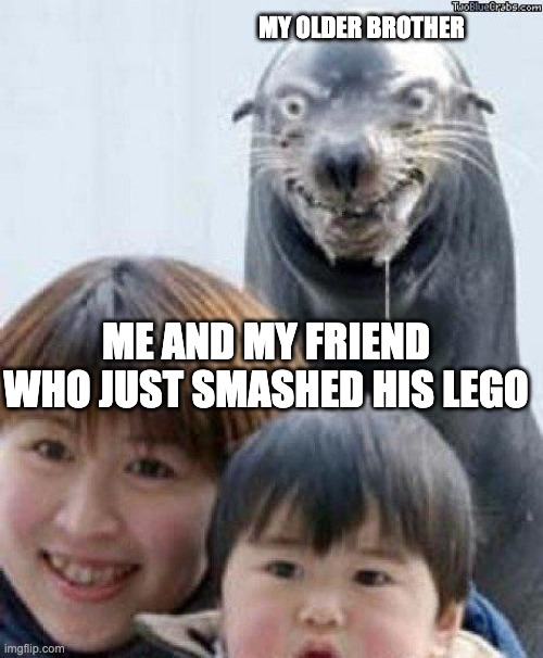Rape Seal | MY OLDER BROTHER; ME AND MY FRIEND WHO JUST SMASHED HIS LEGO | image tagged in rape seal | made w/ Imgflip meme maker