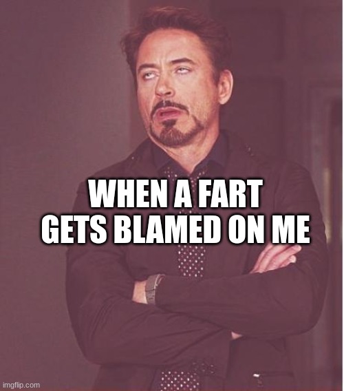 Face You Make Robert Downey Jr | WHEN A FART GETS BLAMED ON ME | image tagged in memes,face you make robert downey jr | made w/ Imgflip meme maker