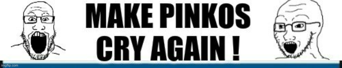 Make Pinkos Cry Again | image tagged in make pinkos cry again | made w/ Imgflip meme maker