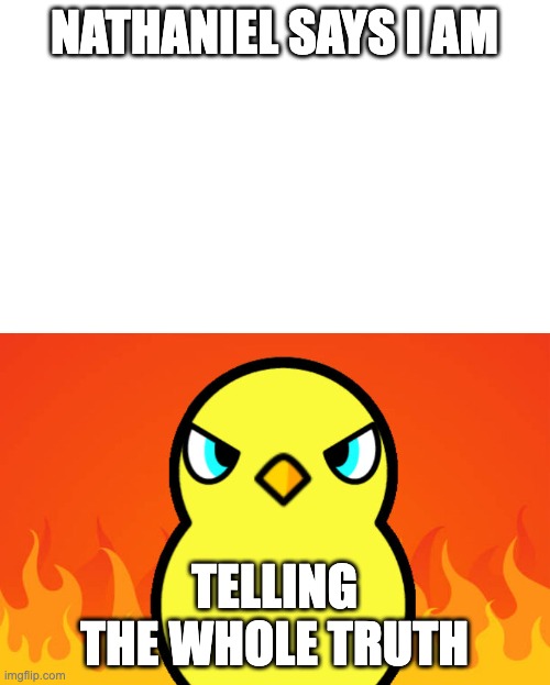 Duck Life Duck Hates | NATHANIEL SAYS I AM TELLING THE WHOLE TRUTH | image tagged in duck life duck hates | made w/ Imgflip meme maker