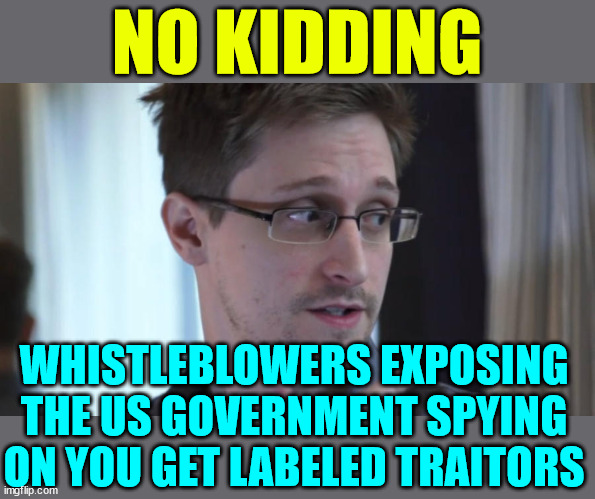 Edward Snowden Brave  | NO KIDDING WHISTLEBLOWERS EXPOSING THE US GOVERNMENT SPYING ON YOU GET LABELED TRAITORS | image tagged in edward snowden brave | made w/ Imgflip meme maker