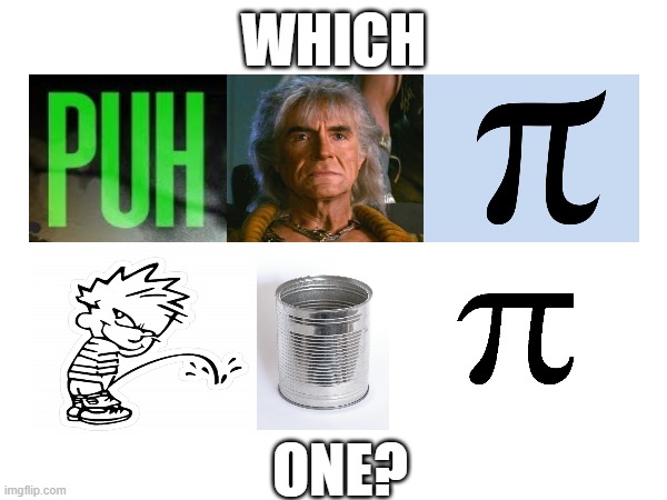 Puh-can or Pee-can? | WHICH; ONE? | image tagged in pie charts,pecan,which side are you on,which one | made w/ Imgflip meme maker