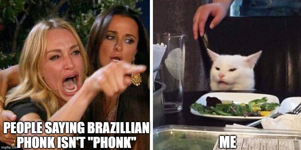 bruh its just music it isnt that serious | PEOPLE SAYING BRAZILLIAN PHONK ISN'T "PHONK"; ME | image tagged in smudge the cat,memes,funny,phonk | made w/ Imgflip meme maker