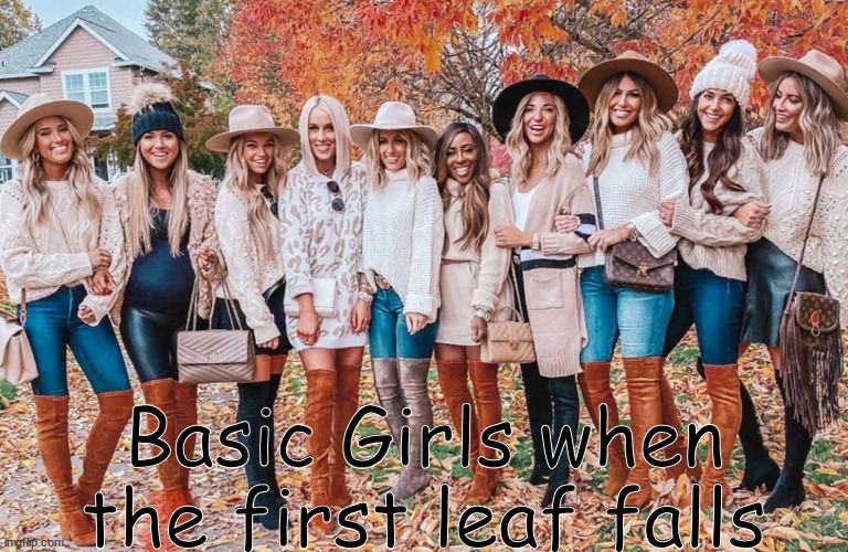 In fall | Basic Girls when the first leaf falls | image tagged in white girls in fall autumn basic pumpkin spice | made w/ Imgflip meme maker
