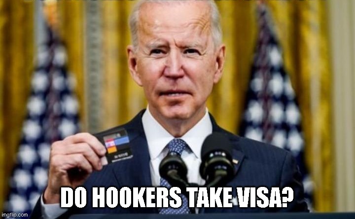 DO HOOKERS TAKE VISA? | image tagged in lol so funny,too funny,politics lol,lol | made w/ Imgflip meme maker
