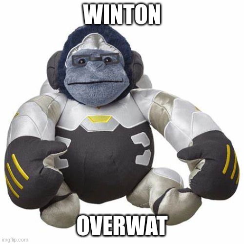 WINTON | WINTON; OVERWAT | image tagged in winton | made w/ Imgflip meme maker