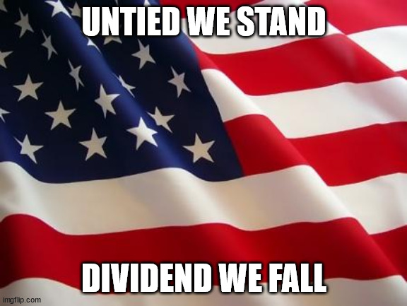 American flag | UNTIED WE STAND; DIVIDEND WE FALL | image tagged in american flag,america memes,american memes | made w/ Imgflip meme maker