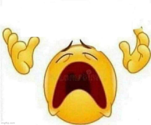 meme emoji | image tagged in meme emoji | made w/ Imgflip meme maker