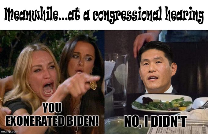 They can't accept the truth | YOU EXONERATED BIDEN! NO, I DIDN'T | image tagged in joe biden,guilty,congress,potus | made w/ Imgflip meme maker