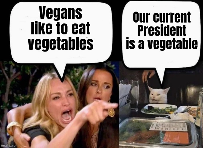 Pass the Salt | Our current President is a vegetable; Vegans like to eat vegetables | image tagged in mr potato head,joe biden,incompetence,x x everywhere,old fart,politicians suck | made w/ Imgflip meme maker