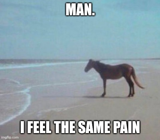 Man Horse Water | MAN. I FEEL THE SAME PAIN | image tagged in man horse water | made w/ Imgflip meme maker