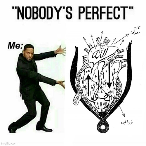 Nobody’s perfect, but Allah’s creation is. | image tagged in will smith nobody s perfect template | made w/ Imgflip meme maker