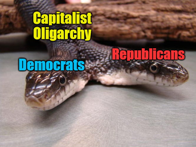 Two Headed Snake | Capitalist Oligarchy; Republicans; Democrats | image tagged in two headed snake,democrats,republicans,oligarchy,capitalism | made w/ Imgflip meme maker