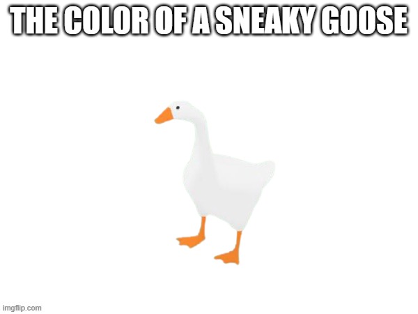THE COLOR OF A SNEAKY GOOSE | made w/ Imgflip meme maker