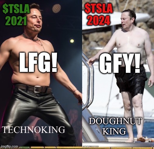 Tesla and Elon | GFY! LFG! | image tagged in elon musk,stonks | made w/ Imgflip meme maker