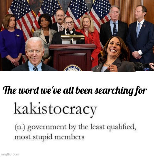 Fits perfectly | The word we've all been searching for | image tagged in house democrats,joe biden,kamala harris,politicians suck,still a better love story than twilight,incompetence | made w/ Imgflip meme maker
