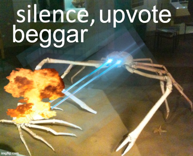 Upvote beggars suck. | upvote; beggar | image tagged in silence crab | made w/ Imgflip meme maker