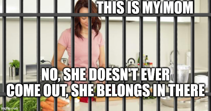 /j | THIS IS MY MOM; NO, SHE DOESN'T EVER COME OUT, SHE BELONGS IN THERE | image tagged in woman in kitchen memes | made w/ Imgflip meme maker