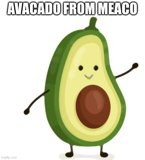 avacado dance | AVACADO FROM MEACO | image tagged in avacado dance,funny | made w/ Imgflip meme maker