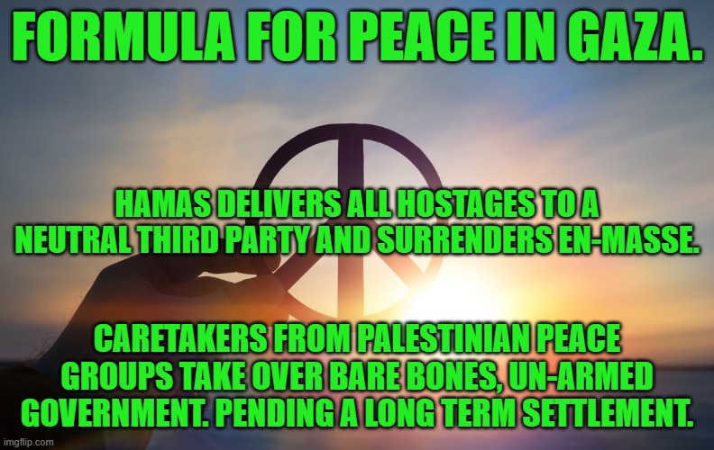 A germ of an idea, hoping peace is infectious. | FORMULA FOR PEACE IN GAZA. HAMAS DELIVERS ALL HOSTAGES TO A NEUTRAL THIRD PARTY AND SURRENDERS EN-MASSE. CARETAKERS FROM PALESTINIAN PEACE GROUPS TAKE OVER BARE BONES, UN-ARMED GOVERNMENT. PENDING A LONG TERM SETTLEMENT. | image tagged in politics | made w/ Imgflip meme maker