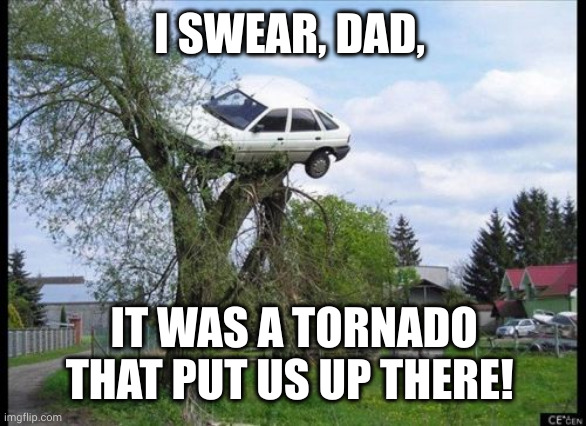 The tornado did it! | I SWEAR, DAD, IT WAS A TORNADO THAT PUT US UP THERE! | image tagged in memes,secure parking,tornado,tree,do not question the elevated one,levitate | made w/ Imgflip meme maker