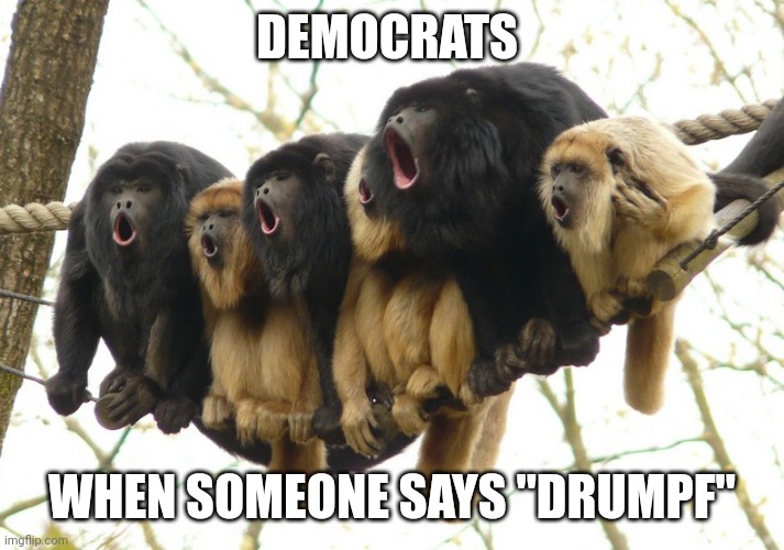 Howler Monkeys | DEMOCRATS WHEN SOMEONE SAYS "DRUMPF" | image tagged in howler monkeys | made w/ Imgflip meme maker
