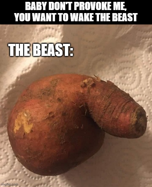 Beast | BABY DON'T PROVOKE ME, YOU WANT TO WAKE THE BEAST; THE BEAST: | image tagged in sex jokes | made w/ Imgflip meme maker
