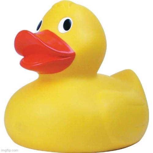 Rubber duck | image tagged in rubber duck | made w/ Imgflip meme maker