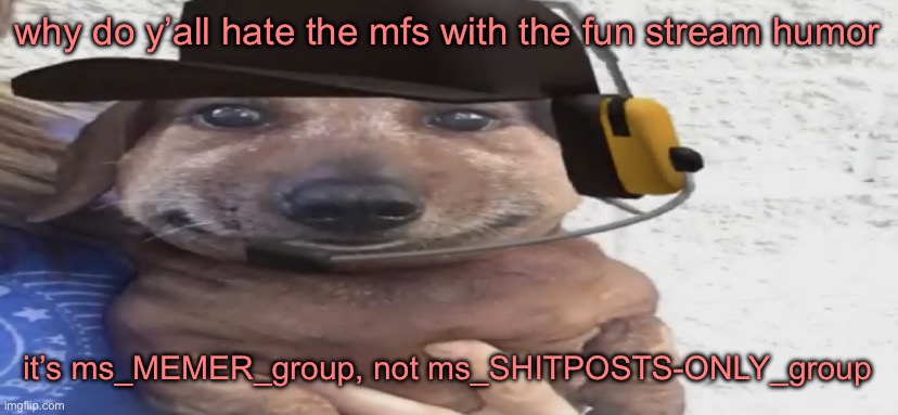 chucklenuts | why do y’all hate the mfs with the fun stream humor; it’s ms_MEMER_group, not ms_SHITPOSTS-ONLY_group | image tagged in chucklenuts | made w/ Imgflip meme maker
