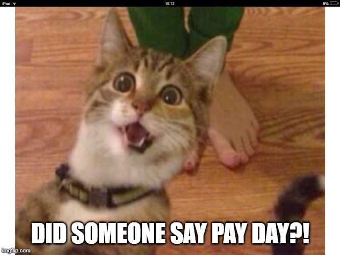 Pay Day | DID SOMEONE SAY PAY DAY?! | image tagged in excited cat | made w/ Imgflip meme maker