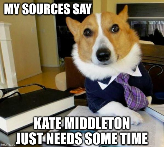 Kate needs a minute | MY SOURCES SAY; KATE MIDDLETON JUST NEEDS SOME TIME | image tagged in lawyer corgi dog,kate middleton,royal family,corgi connection,memes,sources say | made w/ Imgflip meme maker