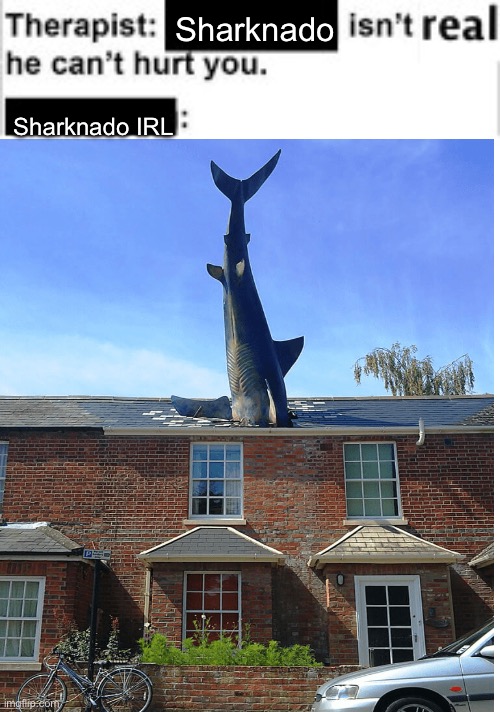 Sharknado IRL | Sharknado; Sharknado IRL | image tagged in it cant hurt you,sharknado,shark | made w/ Imgflip meme maker