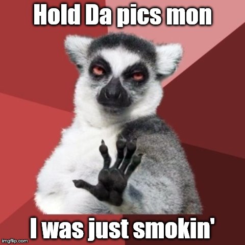 Chill Out Lemur Meme | Hold Da pics mon I was just smokin' | image tagged in memes,chill out lemur | made w/ Imgflip meme maker