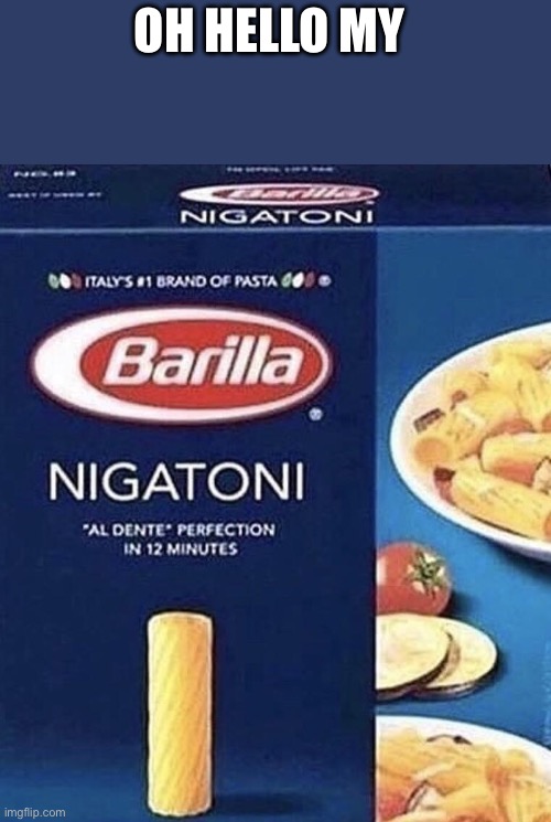 Nigatoni | OH HELLO MY | image tagged in nigatoni | made w/ Imgflip meme maker