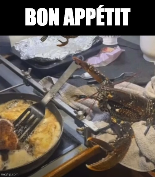 Bon Appétit | BON APPÉTIT | image tagged in memes,funny,cursed,animals,lobster,grilled cheese | made w/ Imgflip meme maker