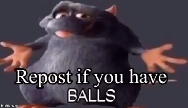 Repost if you have BALLS Blank Meme Template