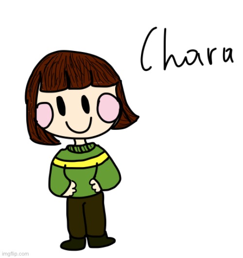 image tagged in chara,undertale | made w/ Imgflip meme maker