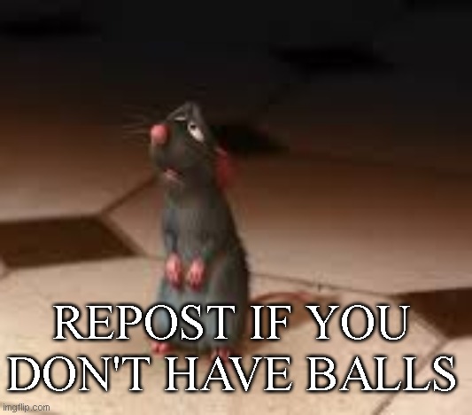 REPOST IF YOU DON'T HAVE BALLS | made w/ Imgflip meme maker