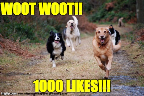 WOOT WOOT!! 1000 LIKES!!! | made w/ Imgflip meme maker