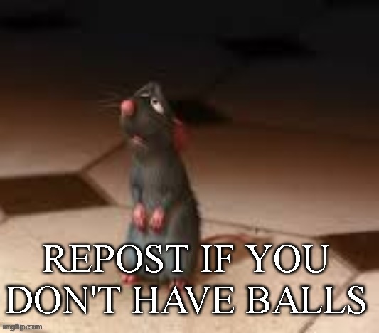 also no cock if u may | made w/ Imgflip meme maker