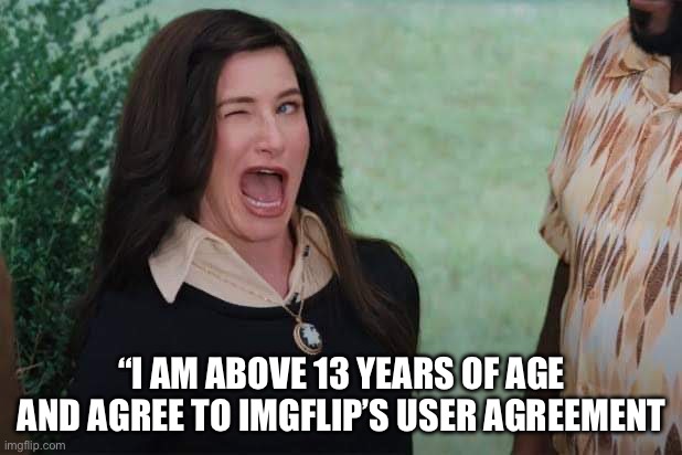 WandaVision Agnes wink | “I AM ABOVE 13 YEARS OF AGE AND AGREE TO IMGFLIP’S USER AGREEMENT | image tagged in wandavision agnes wink | made w/ Imgflip meme maker