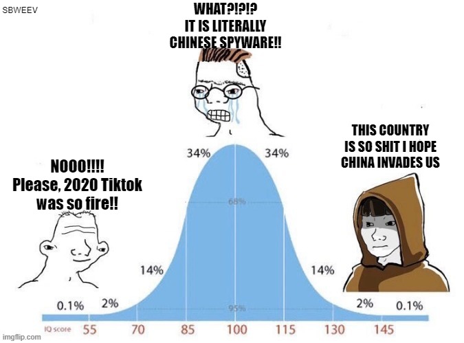 Bell Curve | WHAT?!?!?
IT IS LITERALLY CHINESE SPYWARE!! SBWEEV; THIS COUNTRY IS SO SHIT I HOPE CHINA INVADES US; NOOO!!!! Please, 2020 Tiktok was so fire!! | image tagged in bell curve | made w/ Imgflip meme maker