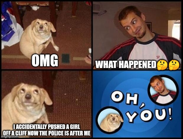 Fined 20000$ | WHAT HAPPENED🤔🤔; OMG; I ACCIDENTALLY PUSHED A GIRL OFF A CLIFF NOW THE POLICE IS AFTER ME | image tagged in oh you | made w/ Imgflip meme maker