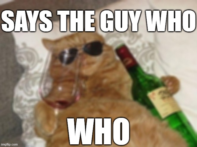 drunk cool cat | SAYS THE GUY WHO WHO | image tagged in drunk cool cat | made w/ Imgflip meme maker